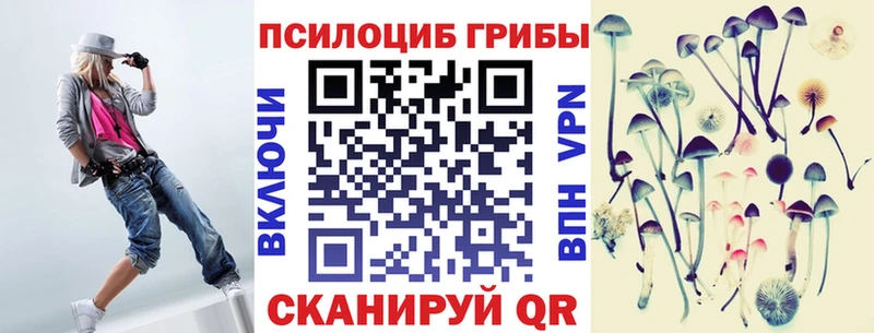 Галлюциногенные грибы Psilocybine cubensis Кочубеевское